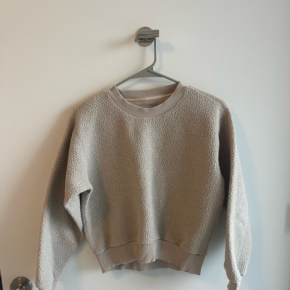 Everlane Tan Teddy Crew neck